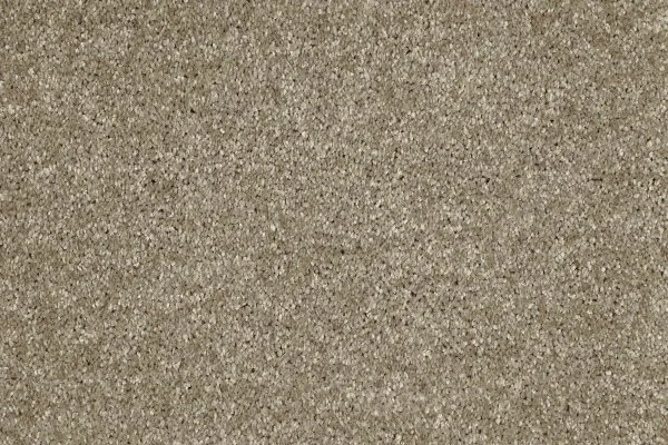 Ковровое покрытие AW Gala 33 - (4м) в Кемерово