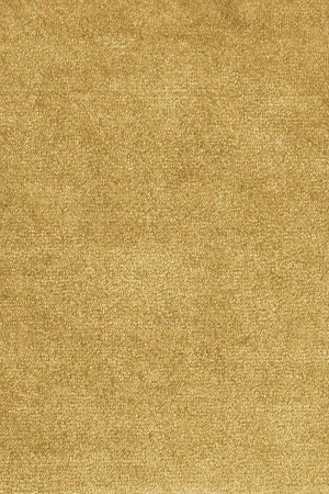 Ковровое покрытие AW Omphale 54 - (5м) в Кемерово