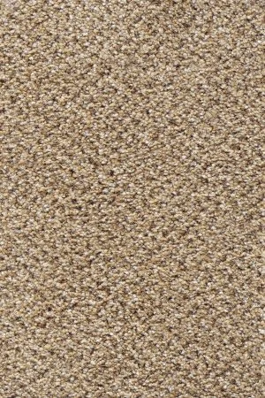 Ковровое покрытие AW Stainaway Tweed 50 - (4м) в Кемерово