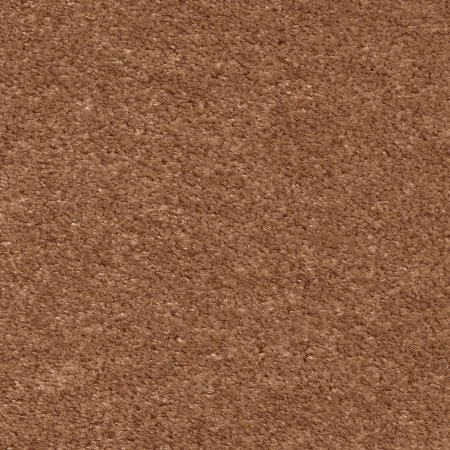 Ковровое покрытие AW Euphoria 84 - (4м) в Кемерово