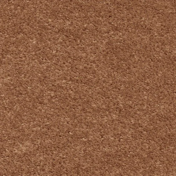 Ковровое покрытие AW Euphoria 84 - (5м) в Кемерово