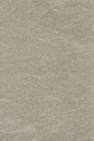 Ковровое покрытие AW Fedone 90 - (5м) в Кемерово