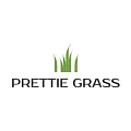 Искусственная трава Prettie Grass купить в Кемерово по выгодной цене Искусственная трава Prettie Grass в Кемерово
