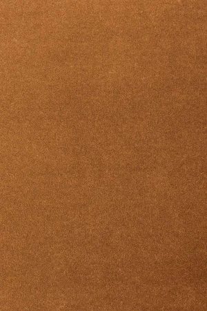 Ковровое покрытие AW Oinone 84 - (5м) в Кемерово