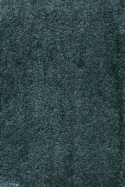 Ковровое покрытие AW Fedone 28 - (4м) в Кемерово