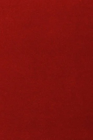 Ковровое покрытие AW Oinone 10 - (5м) в Кемерово