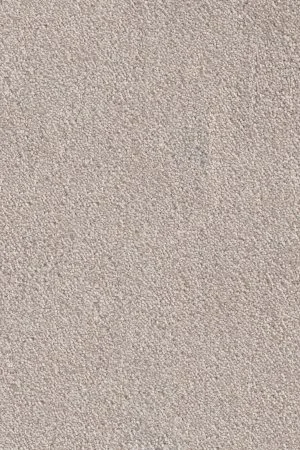 Ковровое покрытие AW Messalina 37 - (5м) в Кемерово