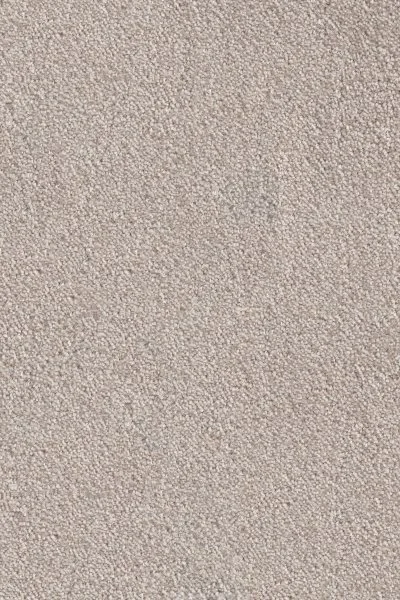 Ковровое покрытие AW Messalina 37 - (4м) в Кемерово