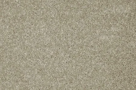 Ковровое покрытие AW Gala 03 - (4м) в Кемерово