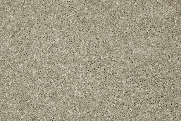 Ковровое покрытие AW Gala 03 - (4м) в Кемерово