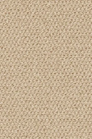 Ковровое покрытие AW Skye 03 - (4м) в Кемерово