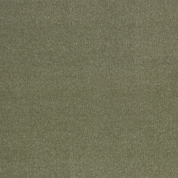 Ковровое покрытие AW Orseis 29 - (4м) в Кемерово