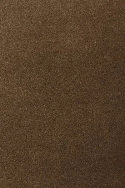 Ковровое покрытие AW Oinone 44 - (5м) в Кемерово