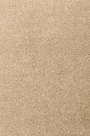 Ковровое покрытие AW Oinone 36 - (4м) в Кемерово