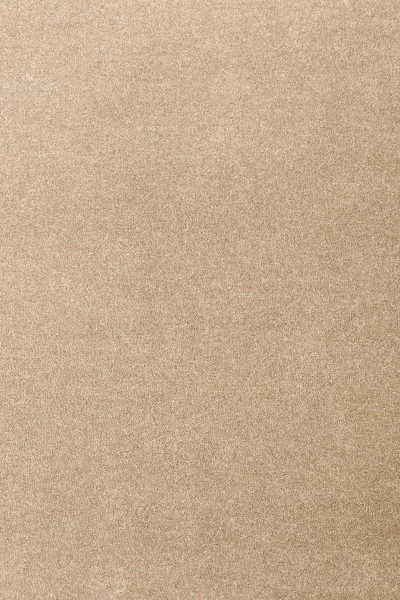 Ковровое покрытие AW Oinone 36 - (4м) в Кемерово