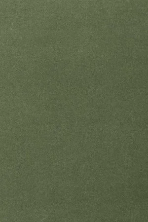 Ковровое покрытие AW Oinone 24 - (4м) в Кемерово