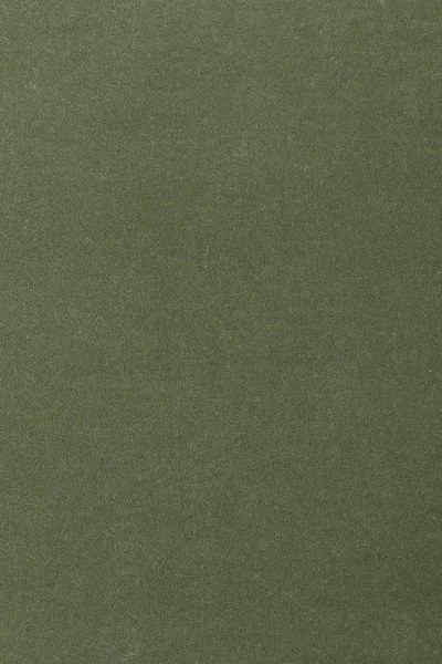 Ковровое покрытие AW Oinone 24 - (4м) в Кемерово