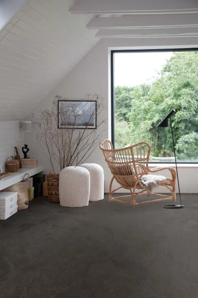 Ковровое покрытие AW Ganges 99 - (4м) в Кемерово