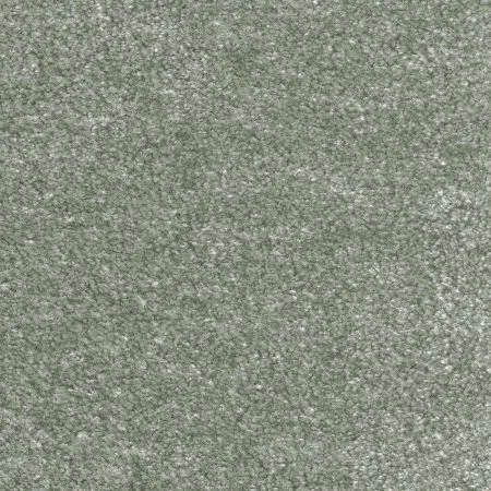 Ковровое покрытие AW Euphoria 28 - (5м) в Кемерово