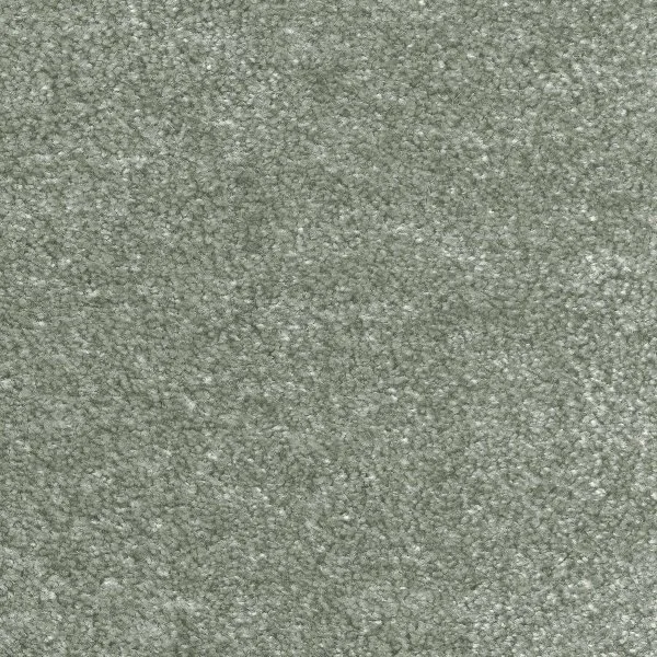 Ковровое покрытие AW Euphoria 28 - (5м) в Кемерово