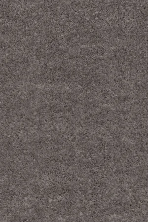 Ковровое покрытие AW Euphoria 45 - (5м) в Кемерово