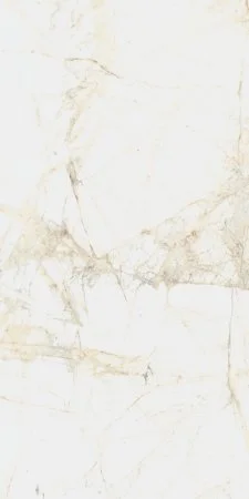 Керамогранит Coliseum Канова Уайт 60х120 (Натуральный и Реттифицированный) в Кемерово