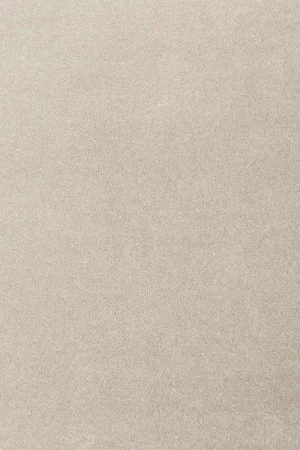 Ковровое покрытие AW Oinone 39 - (5м) в Кемерово