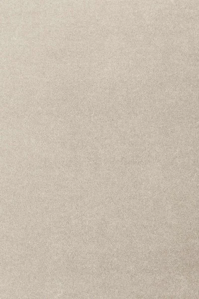 Ковровое покрытие AW Oinone 39 - (4м) в Кемерово