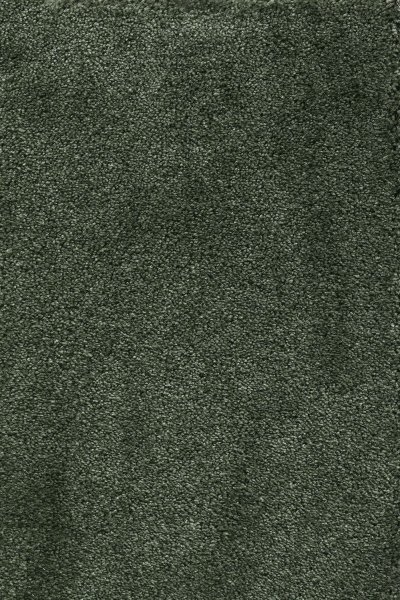 Ковровое покрытие AW Fedone 24 - (5м) в #REGION_NAME_DECLINE_PP#